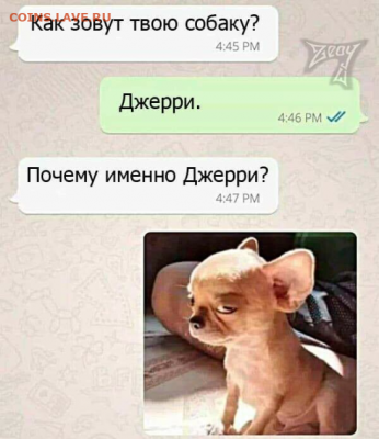 юмор - i