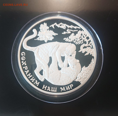 25 рублей 2011 ЛЕОПАРД Сохраним Наш Мир до 18.05 - DSC_4253.JPG