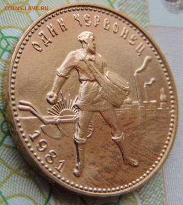 Один червонец "Сеятель" 1981 года - DSCN7699.JPG
