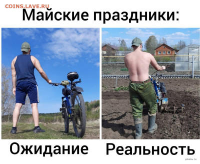 юмор - WhatsApp Image 2022-05-17 at 10.00.29
