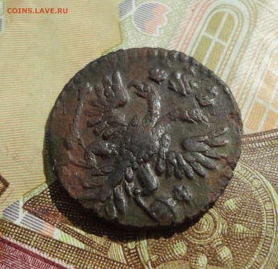 Кладовая полушка 1731 года перечекан+перегравировка. - DSC09989.JPG