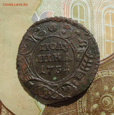 Кладовая полушка 1731 года перечекан+перегравировка. - DSC09982.JPG
