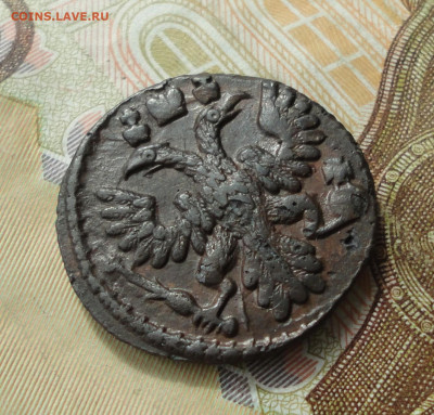 Кладовая полушка 1735 года. До 22.05.22. - DSC09996.JPG