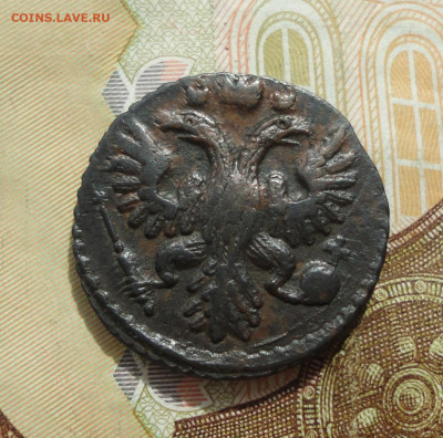 Кладовая полушка 1736 года. До 22.05.22. - DSC00005.JPG