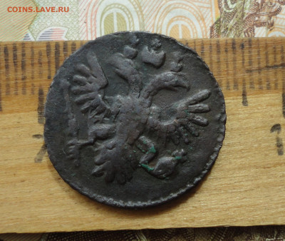 Кладовая полушка 1736 года большая. До 22.05.22. - DSC00019.JPG
