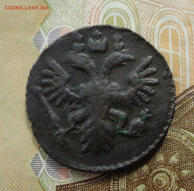 Кладовая полушка 1736 года большая. До 22.05.22. - DSC00017.JPG