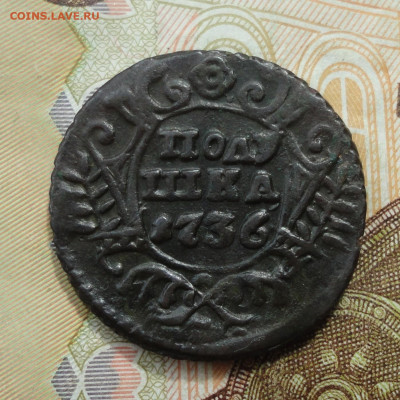 Кладовая полушка 1736 года большая. До 22.05.22. - DSC00015.JPG