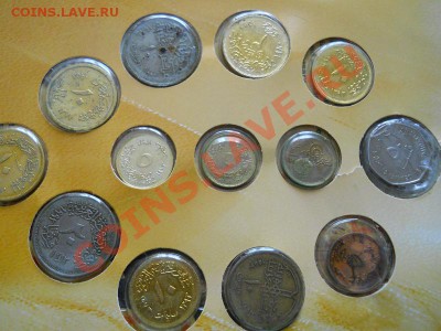 Egyptian Coins Collection. Окончание в 22.00, 26.11.2011. - 48.JPG