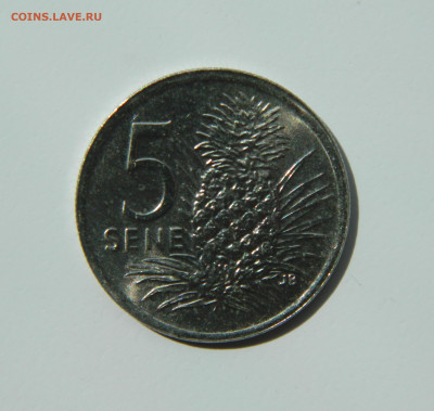Самоа 5 сене 2000 г. до 24.05.22 - DSCN5879.JPG