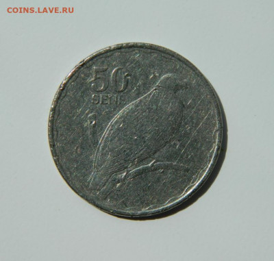 Самоа 50 сене 2011 г. (Фауна) до 24.05.22 - DSCN5906.JPG