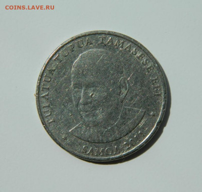 Самоа 50 сене 2011 г. (Фауна) до 24.05.22 - DSCN5907.JPG