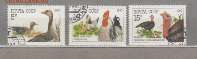 СССР 1990 домашняя птица 3м до 24 05 - 244