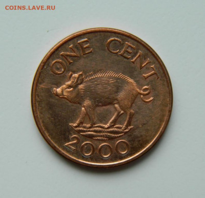 Бермудские острова 1 цент 2000 г. (Фауна). до 24.05.22 - DSCN5932.JPG