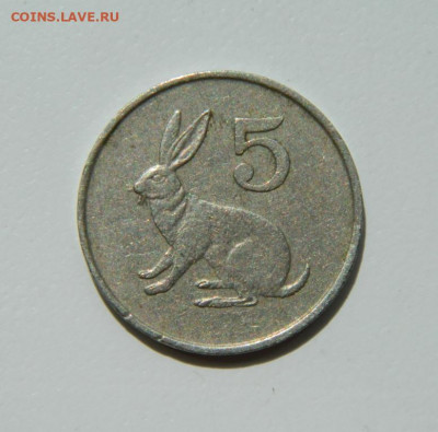 Зимбабве 5 центов 1990 г. (Фауна). до 26.05.22 - DSCN6076.JPG