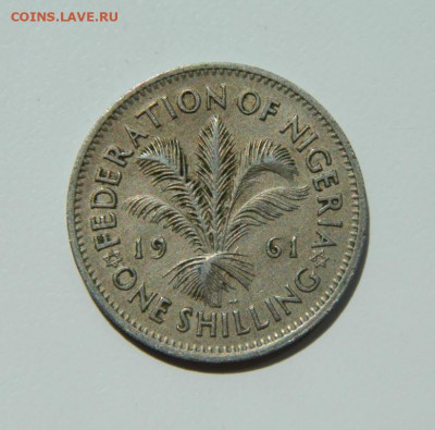 Британская Нигерия 1 шиллинг 1961 г. до 26.05.22 - DSCN6041.JPG