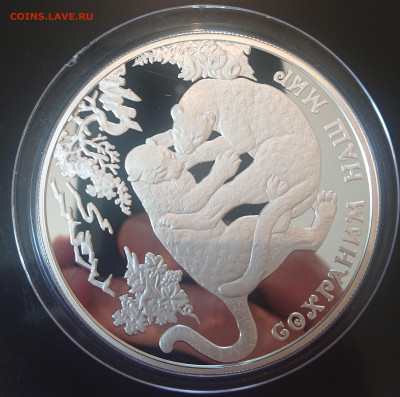 25 рублей 2011 ЛЕОПАРД Сохраним Наш Мир до 25.05 - DSC_4254.JPG