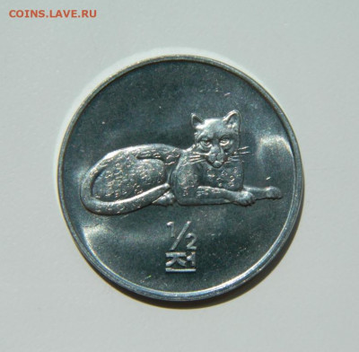 2 чона 2002 г.(Юбилейная) Фауна до 26.05.22 - DSCN6051.JPG
