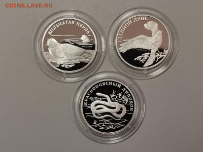 1рубль 2007 Красная книга (к-кт 3шт) серебро Ag925, до 29.05 - Y КК Нерпа,Лунь,Дидон-1