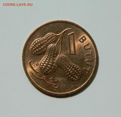 Гамбия 1 бутут 1971 г. до 26.05.22 - DSCN5977.JPG
