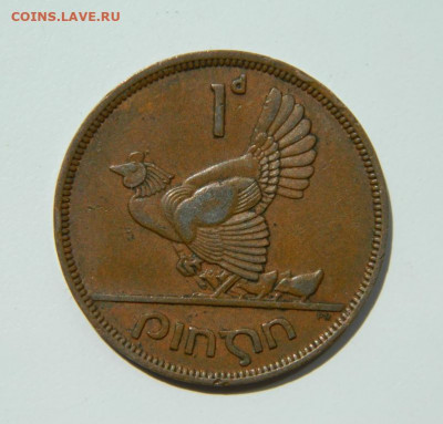 Ирландия 1 пенни 1949 г. (Фауна) до 26.05.22 - DSCN5955.JPG