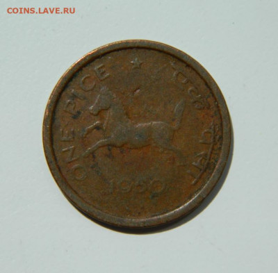 Индия 1 пайса 1950 г. (Фауна) до 26.05.22 - DSCN5952.JPG