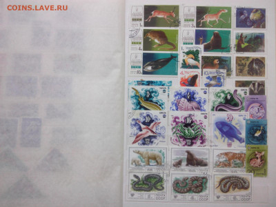 Марки фауна №3 до 22.oo мск 29.05.2022 - IMG06095