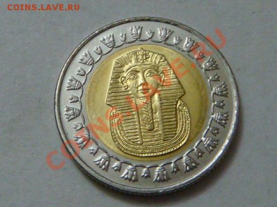 -vБ- Египет 1 фунт 2007 бимет. до 23.11(21.00) - DSC05673.JPG