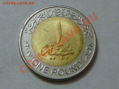 -vБ- Египет 1 фунт 2007 бимет. до 23.11(21.00) - DSC05672.JPG