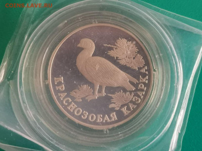 1р 1994г Красная книга- Казарка. Пруф запай, Ag900, до 01.06 - X Казарка зап-1