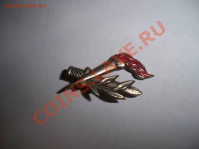 Факел, ветвь и меч - 100_3831.JPG