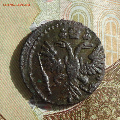 Кладовая полушка 1731 года. До 29.05.22. №-2. - DSC00148.JPG