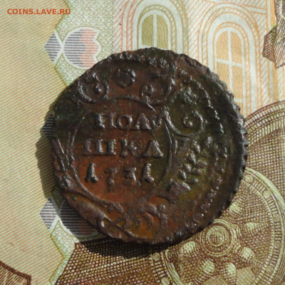 Кладовая полушка 1731 года. До 29.05.22. №-2. - DSC00142.JPG