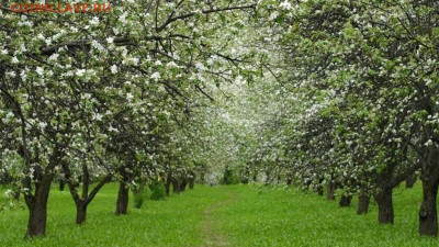ФОТО - просто фото. Те что получились удачными. - IMG_20220527_102659_240