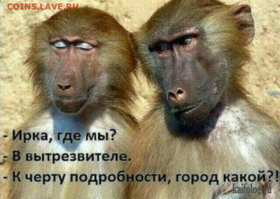 юмор - image1