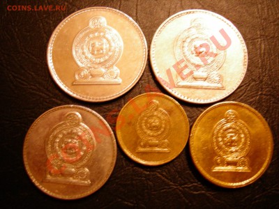 Шри-Ланка 5 монет 1,2,5 рупий до 25.11.2011 - DSCN9354.JPG