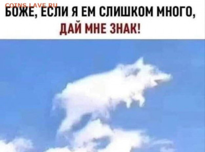 юмор - IMG-20220531-WA0001
