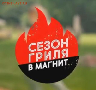 Русский язык, наши ошибки. - магнит1