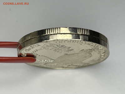 Улар с мелкими насечками на гурте. 50 тенге 2006 Казахстан. - 68DD5C67-2C53-48B1-9303-A582FE34E229