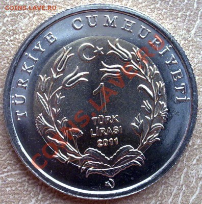- БИМ - Турция 1 лира 2011 Медведь до 22.00 24.11 - Турция 1 лира 2011 Медведь-2