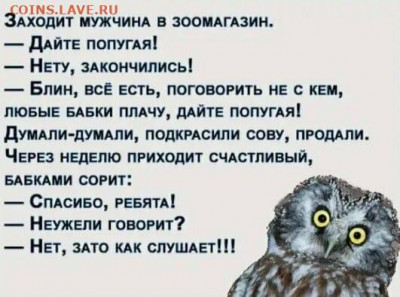 юмор - IMG-20220601-WA0001