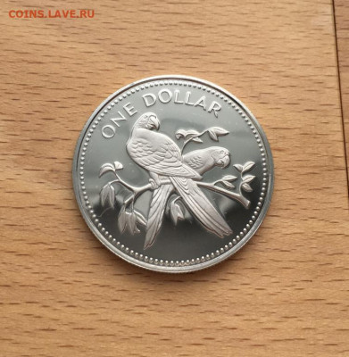 Крона Шайба Белиз 1 доллар 1974 Красный попугай ара Птица - krona_shajba_beliz_1_dollar_1974_krasnyj_popugaj_ara_ptica_fauna_pruf_proof