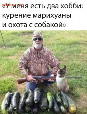 юмор - IMG-20220603-WA0000