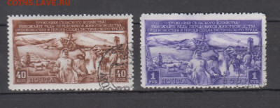 СССР 1949 животноводство 2м до 09 06 - 152