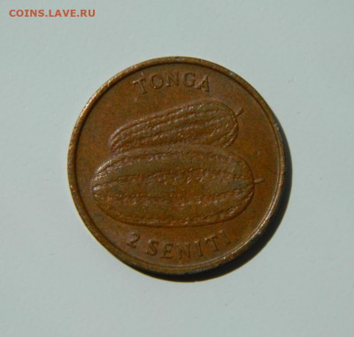 Тонга 2 сенити 1979 г. до 09.06.22 - DSCN6239.JPG