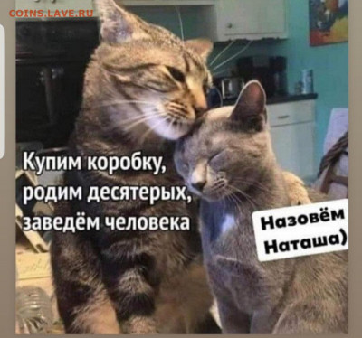 юмор - Screenshot_20220604-162822_Instagram
