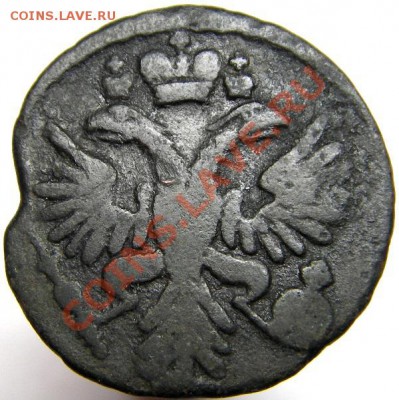 Деньга 1740 года (приятная), окончание 21.11.2011 в 22-00 мс - IMGP6965.JPG