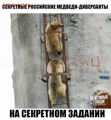 юмор - 210808