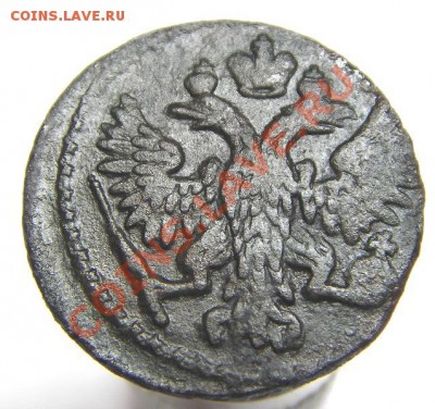 Полушка 1751 (оценка) - IMGP6969.JPG