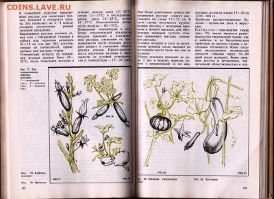 КОМНАТНОЕ ОВОЩЕВОДСТВО 1989 г. до 12.06.22 г. в 23.00 - 078