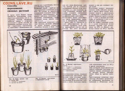 КОМНАТНОЕ ОВОЩЕВОДСТВО 1989 г. до 12.06.22 г. в 23.00 - 079